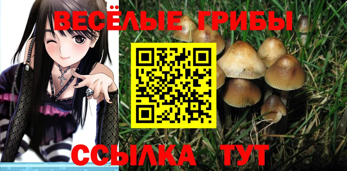 NBOMe Рязань