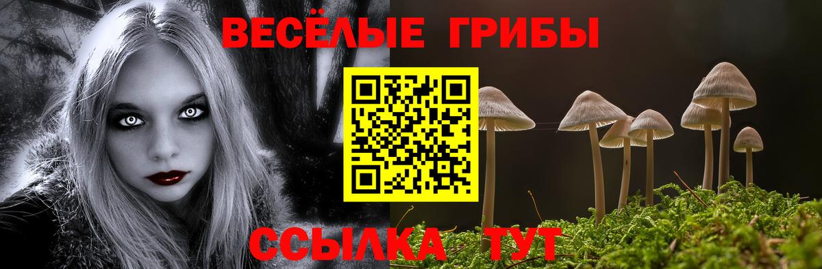 купить закладку  Вход с VPN  Рязань  Псилоцибиновые грибы Psilocybe 